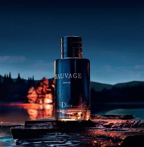 parfum homme sauvage dior pas cher|sauvage fragrance collection for men.